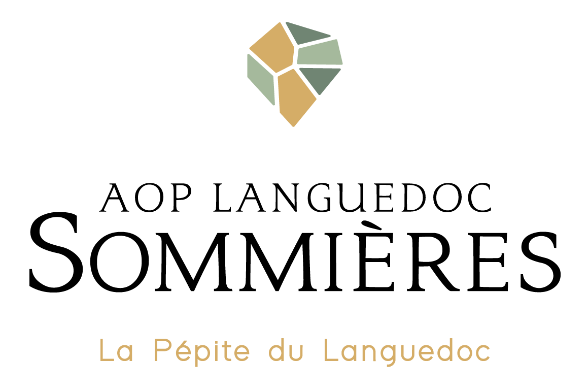 logo societe 